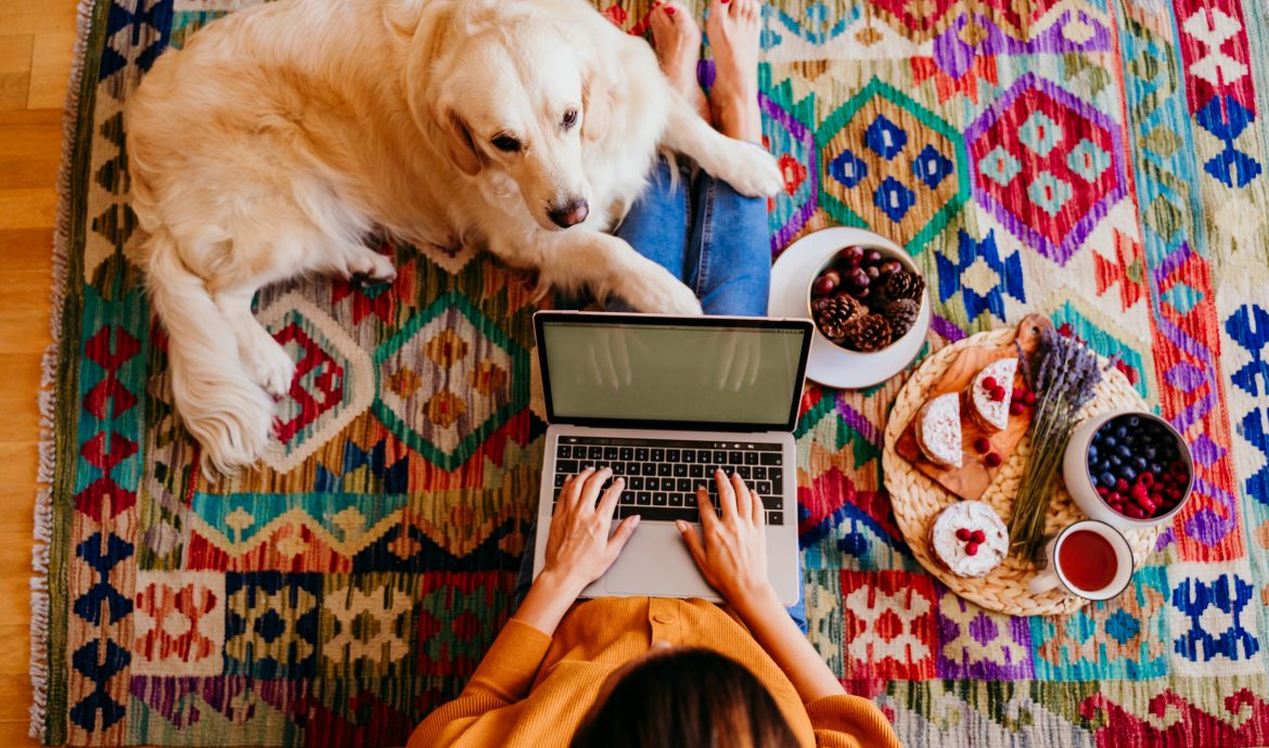 Learn to leverage free content: How much free content is too much?